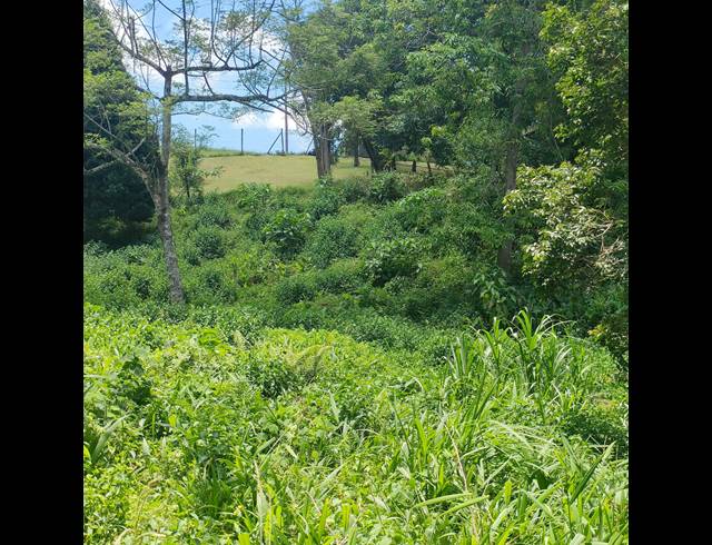 6,000M² VACANT LAND FOR SALE IN CLIFTON PARK